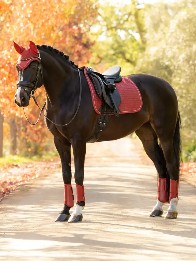 New Suede Dressage Square Russet - Image 2