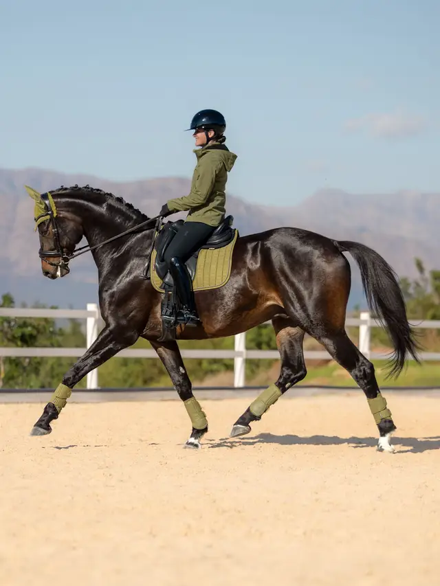 Suede Dressage Square Gooseberry - Image 3