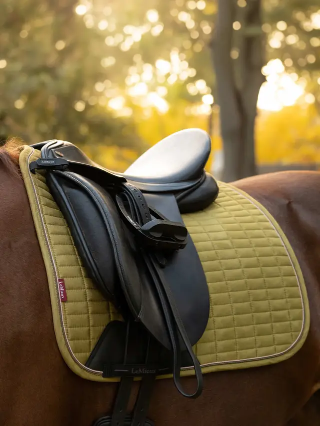 Suede Dressage Square Gooseberry - Image 4