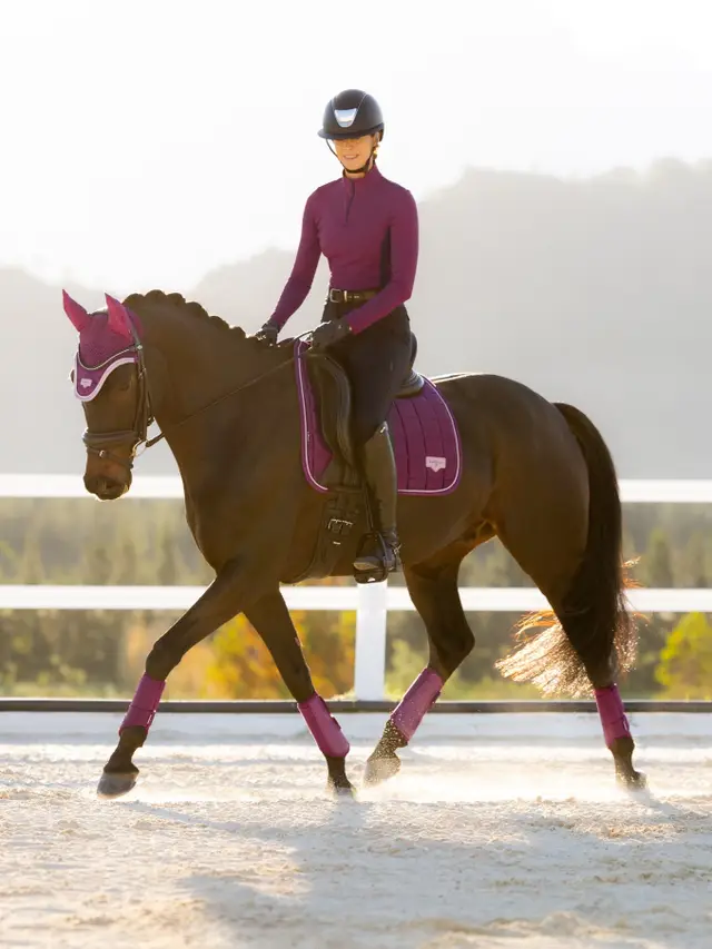 Loire Classic Dressage Square Blackberry - Image 3