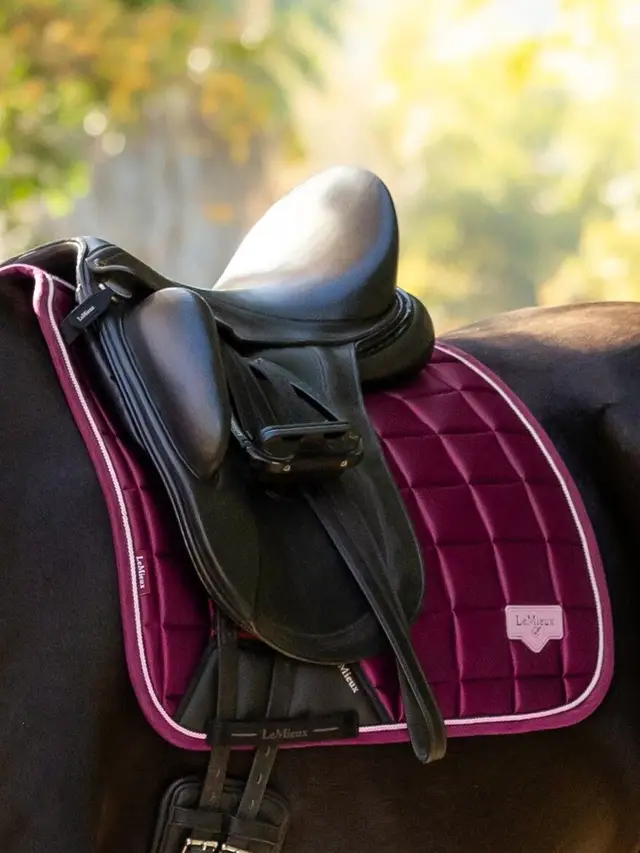 Loire Classic Dressage Square Blackberry - Image 4