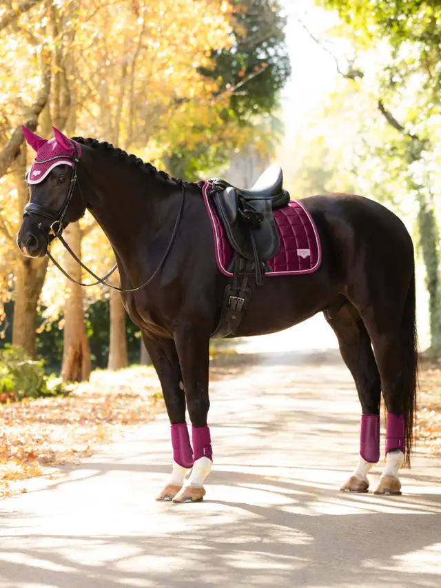 Loire Classic Dressage Square Blackberry - Image 2