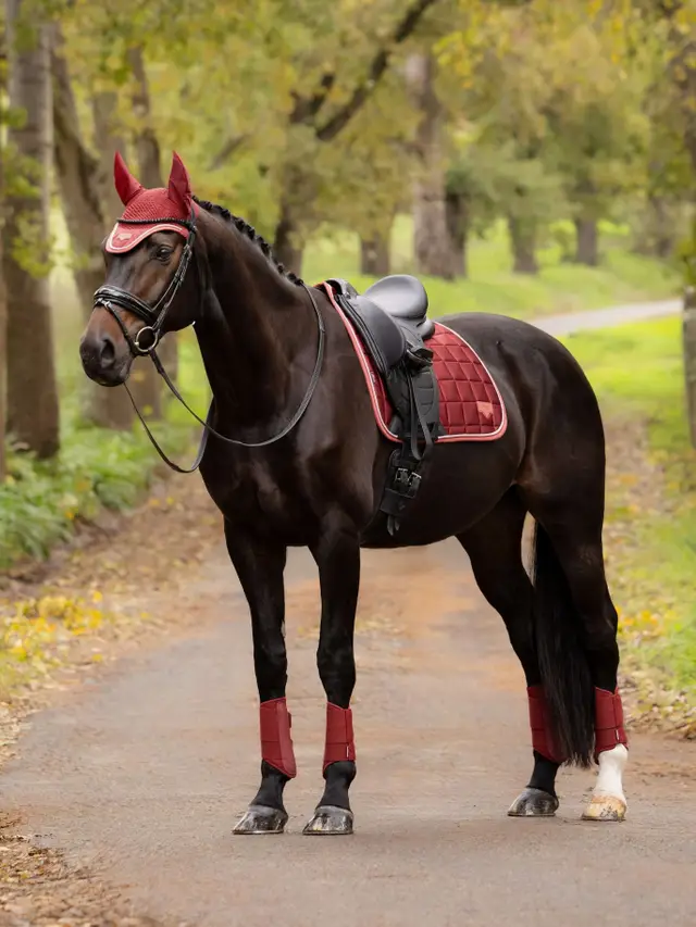 Loire Classic Dressage Square Russet - Image 2