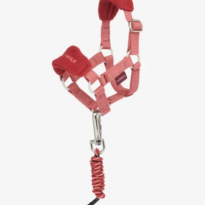 Toy Pony Vogue Headcollar & Leadrope Spiced Earth